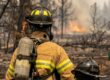 Wildfire Season Security